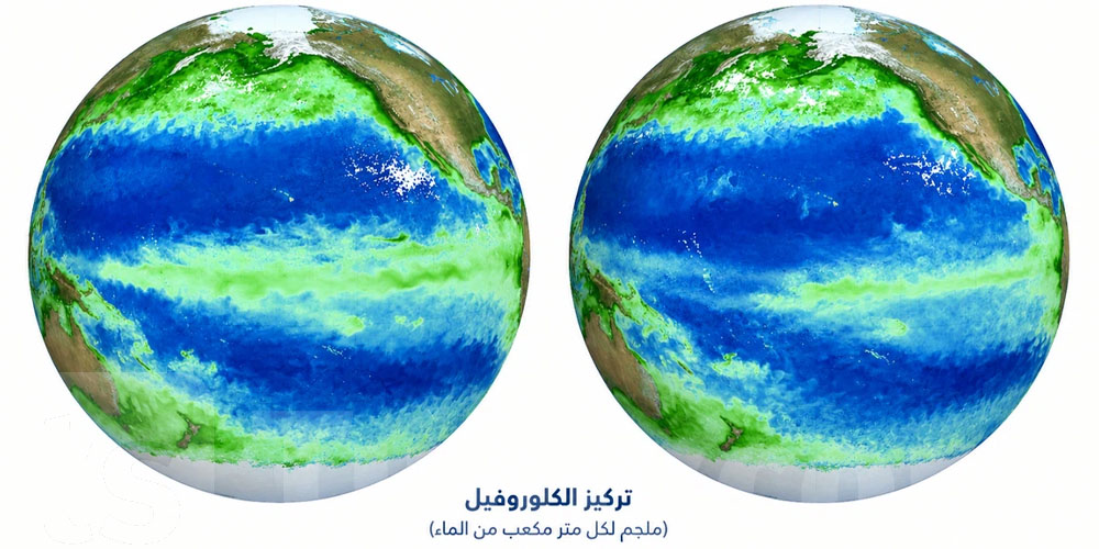 ظاهرة النينيو تغيّر لون المحيط الهادئ...والسبب كائنات مجهرية...شنوّة الحكاية!