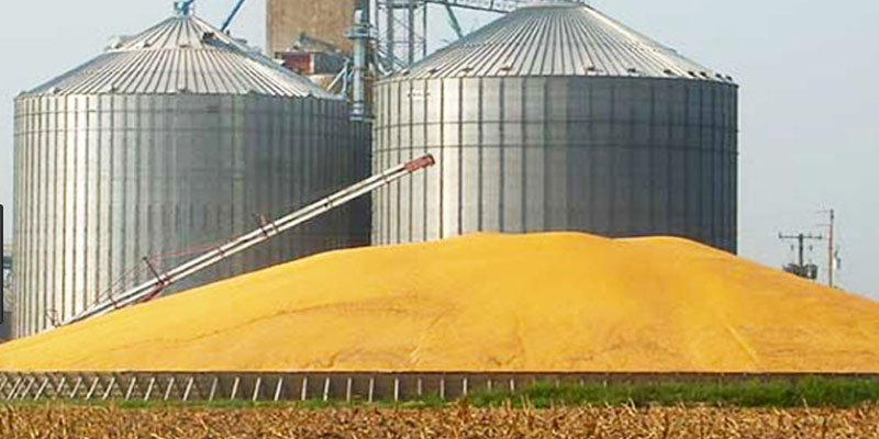 تونس تطرح مناقصة لشراء 92 ألف طن من القمح