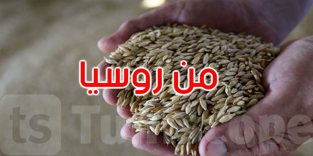 روسيا ترسل أولى شحناتها المجانية من الحبوب إلى إفريقيا