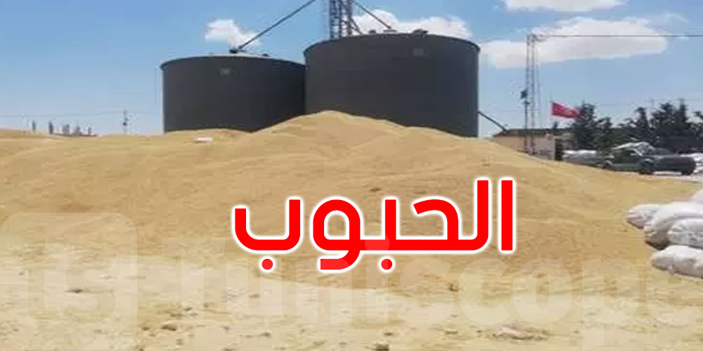 خلال 7 أشهر الأولى من 2023: تونس خصصىت 2،4 مليار دينار لتوريد الحبوب