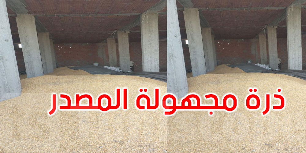 برج العامري: حجز 35 طنا من حبوب الذرة مجهولة المصدر