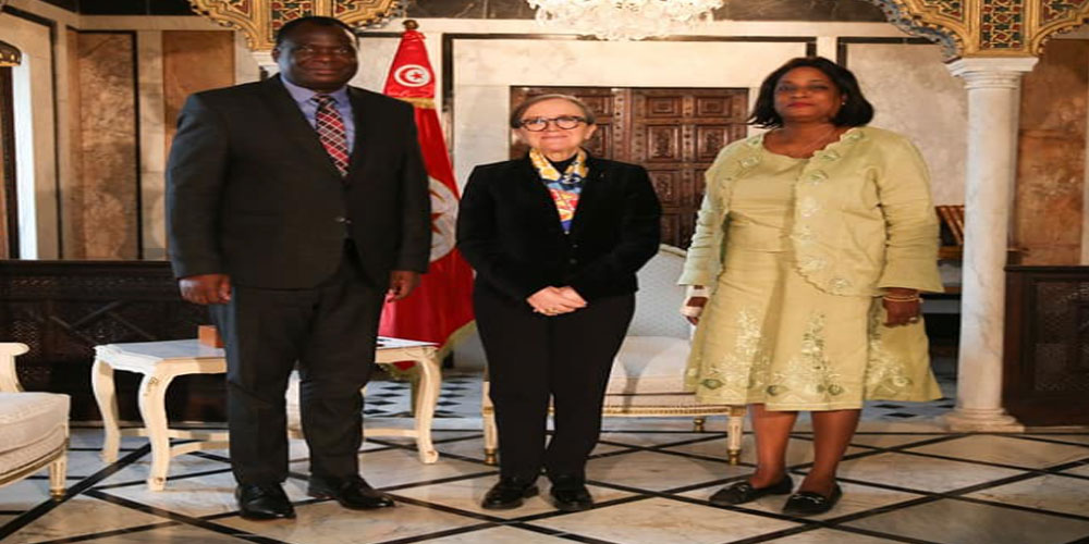 ترشح تونس لاحتضان مقر الوكالة الإفريقية للأدوية محور لقاء بودن بوفد عن مفوضية الاتحاد الافريقي