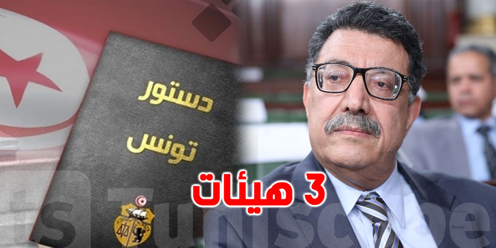 بودربالة: الإبقاء على 3 هيئات دستورية في الدستور الجديد