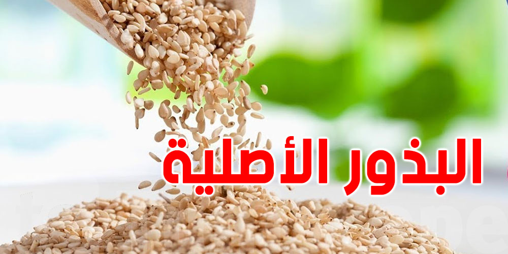تونس: دعوة للإعتراف بالبذور الأصيلة لمواجهة تهديد السيادة الغذائية