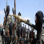  الجيش النيجيري يعلن تحرير 180 رهينة من بوكو حرام 