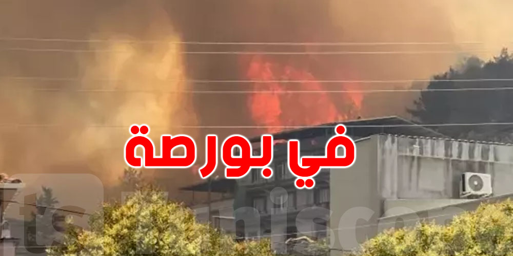 ريح قوية ونار شاعلة.. شنوّة صاير في بورصة؟