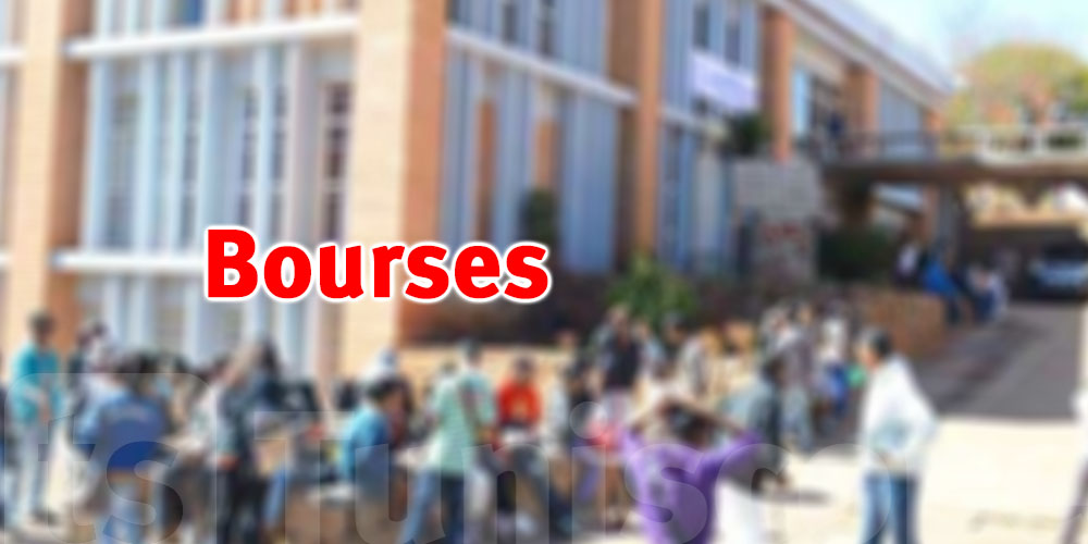 Étudiants tunisiens : postulez aux bourses néerlandaises !