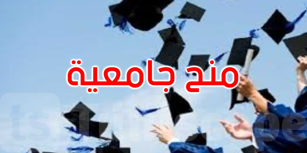 للمتفوقين في بكالوريا 2026: منح جامعّية للدراسة بفرنسا وألمانيا وتونس