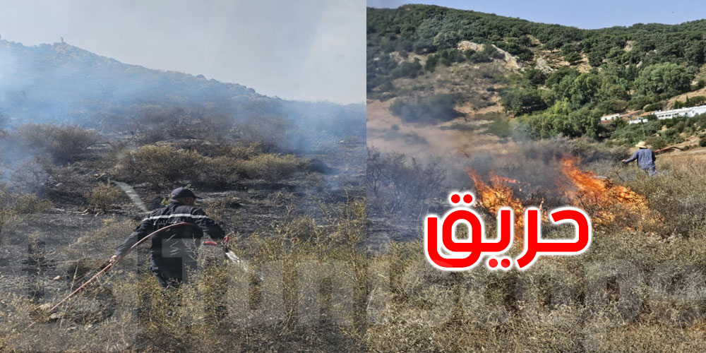 بوسالم: السيطرة على حريق بغابة شعراء