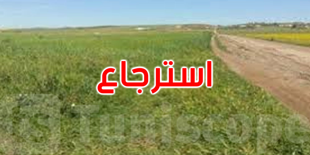 سيدي بوزيد: استرجاع عقارين دوليين
