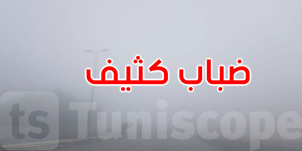 عاجل: الإدارة العامة للحرس الوطني تحذر من ضباب كثيف بالطريق السيارة..التفاصيل
