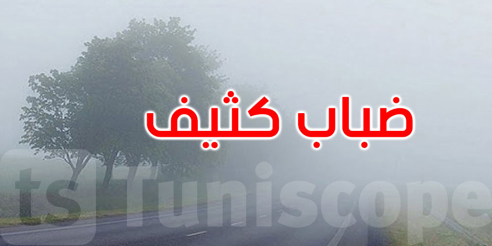 عاجل: الرصد الجوي يحذّر: ضباب محلي كثيف آخر الليل وصباح الغد