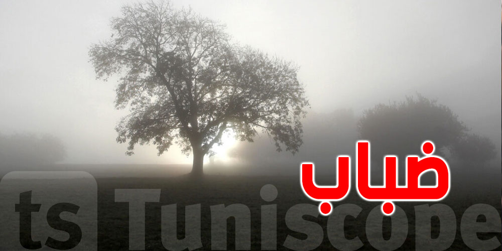 عاجل: خطر الضباب غدا صباحا.. توخّوا الحذر على الطرقات!