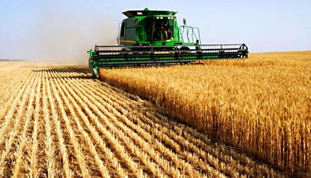 La BTS accorde 5MD aux agriculteurs de 7 gouvernorats