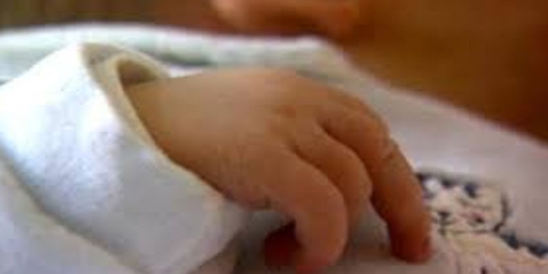 اختفاء رضيعة تونسية أثناء حفل فني بالجزائر