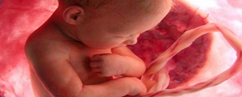 bébé-250812-1.jpg