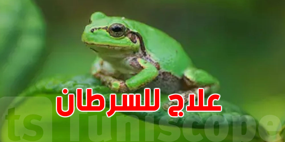 علاج للسرطان.. من أمعاء الضفادع...شنيا الحكاية؟