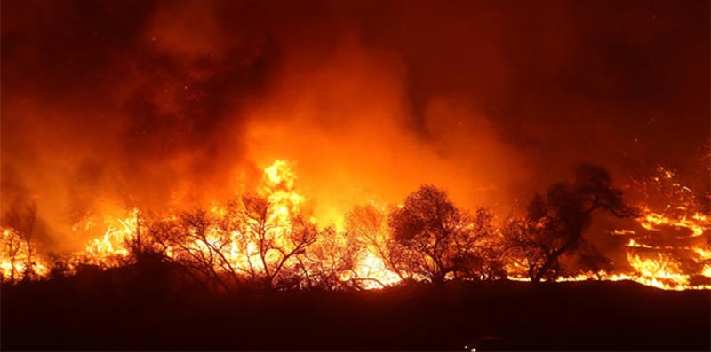 الولايات المتحدة : ولاية كاليفورنيا تعلن حالة الطوارئ بسبب حرائق الغابات