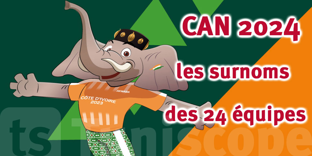 CAN 2024 : les surnoms des 24 équipes