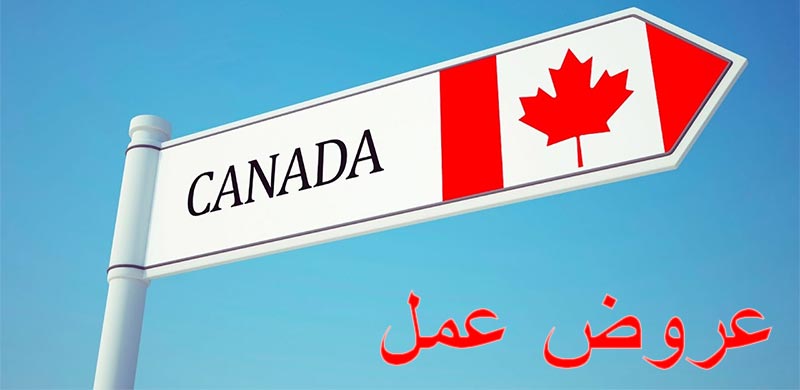 كندا تقدّم للتونسيين 500 عرض شغل 