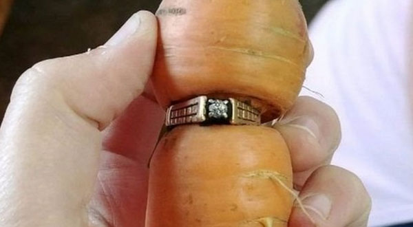 كندية تعثر على خاتمها الماسي الضائع منذ 13 سنة في ‘جزرة’