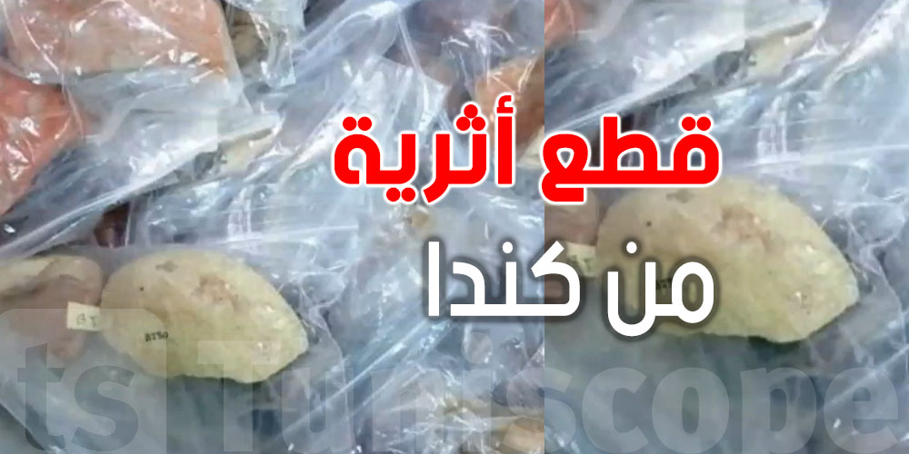 عاجل: 210 قطعة أثرية ترجع لتونس… كنز تاريخي يرجع من كندا