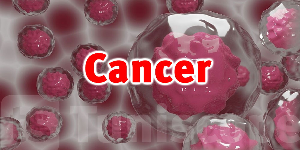 Découverte contre le cancer : une avancée scientifique qui redonne espoir aux patients en Tunisie