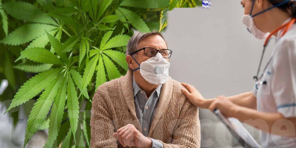 Le cannabis pour se protéger du Coronavirus ?