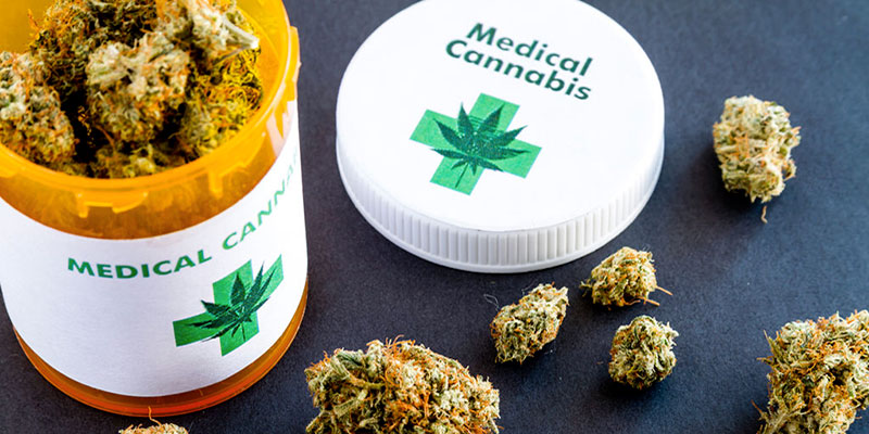 L’association des soins palliatifs appelle à la légalisation du cannabis médical