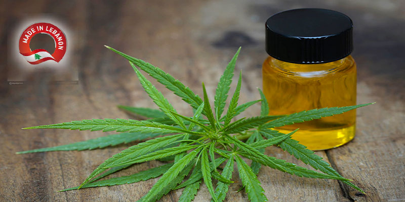 Le cannabis légal pour relancer l’économie libanaise