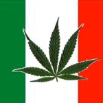  Italie : L'armée productrice de cannabis