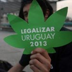 L'Uruguay premier pays au monde à légaliser la production et la vente de cannabis
