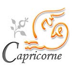 Horoscope 2010 Capricorne