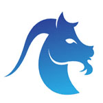 Horoscope 2011 : Capricorne