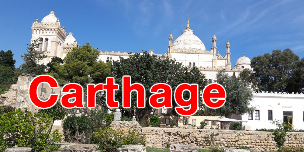 Le patrimoine naturel de Carthage est-il menacé ?
