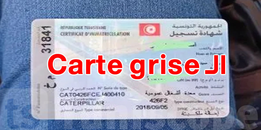 الـcarte grise في خطر ؟ 6 أسباب تخليك تفقدها