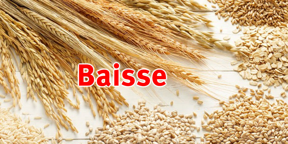 Zaghouan : Baisse de la production céréalière saisonnière