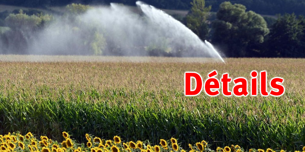 Kef : La moisson avance de 40%