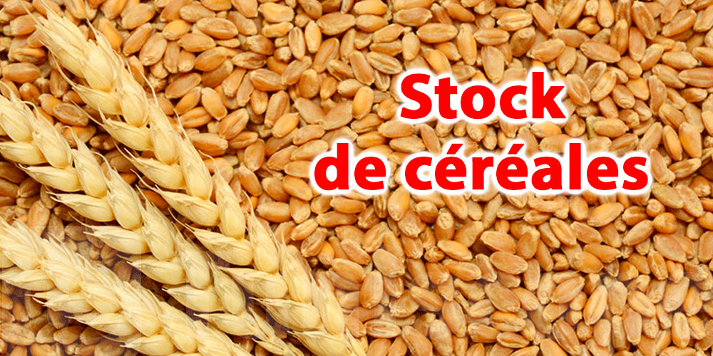  Le stock de céréales couvre les besoins du pays jusqu’à la seconde moitié de février