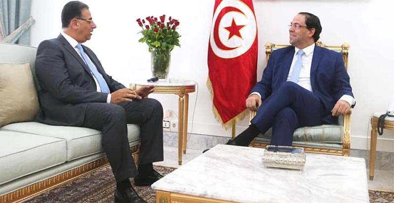 الشاهد يلتقي بسفير مصر بتونس