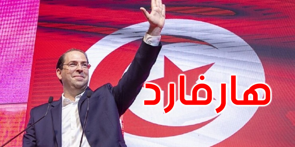 تعيين يوسف الشاهد أستاذا محاضرا في جامعة هارفارد الأمريكية