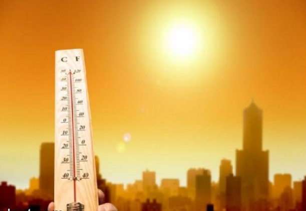 وفاة 89 شخصا جراء الحرارة في ألمانيا