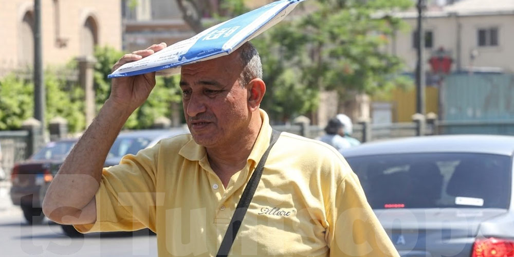 نظام الحصّة الواحدة والخروج في ''غرغور القايلة''...كيفاش تحمي روحك من ضربة الشمس؟