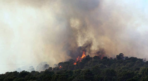 القصرين : نشوب حريق بالمنطقة العسكرية المغلقة بجبل الشعانبي 