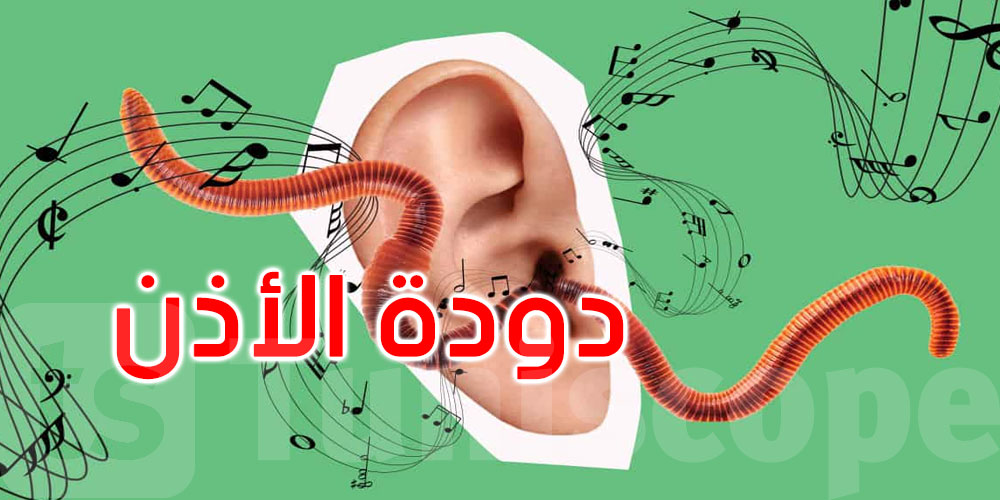 لماذا تعلق الأغاني في أذهاننا؟ العلم يفسّر ‘دودة الأذن’