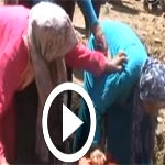 En vidéo- Chasse à l’eau à Béja : Les disputes éclatent… 