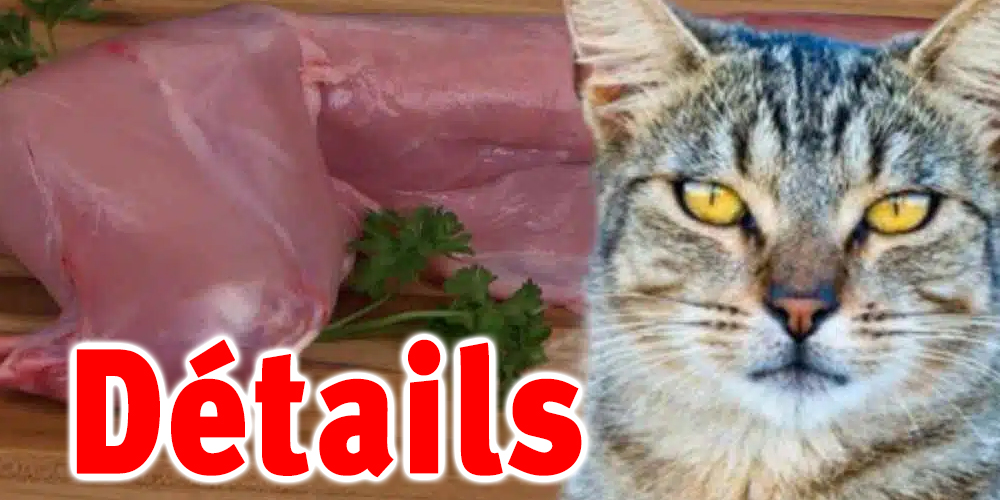 De la viande de chat vendue à Alger ?
