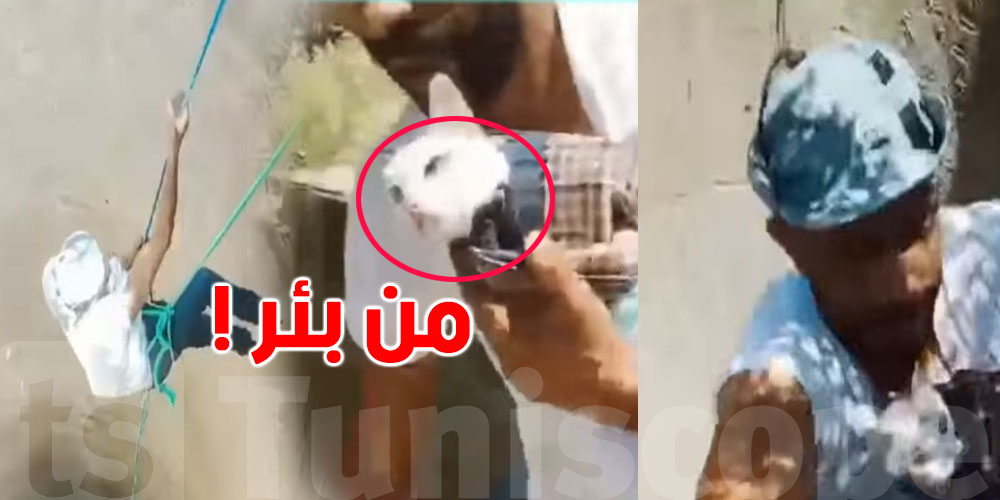 هبط 40 متر في بير وخاطر بحياته باش ينقذ قطوسة!...شنّوة الحكاية؟