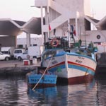 Chebba : Des pêcheurs bloquent l’accès au port pour protester contre la pêche à la traîne