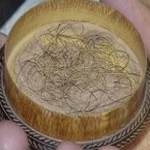 Importation d’un cheveu et d’un habit du prophète pour exposition à la mosquée Zeitouna